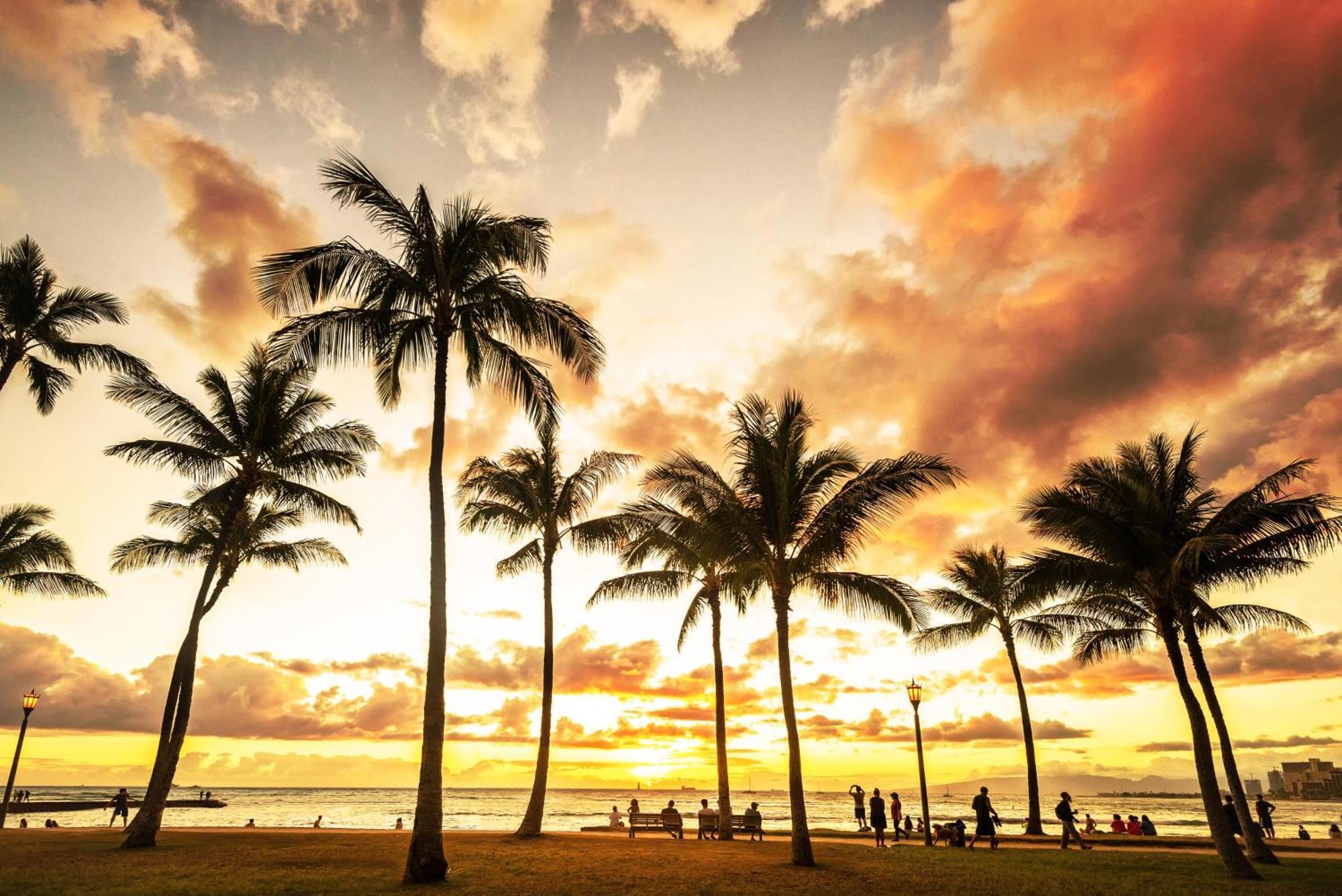 Вилла Welcoming Waikiki Banyan Гонолулу Экстерьер фото